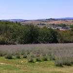Gospodarstwo agroturystyczne Il Lavandeto - In The