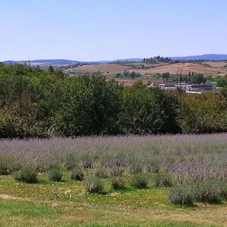 Il Lavandeto - In The Farm stay *