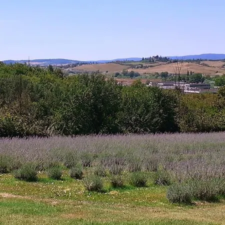 Farm stay Il Lavandeto - In The