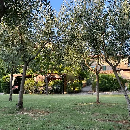 Farm stay Il Lavandeto - In The