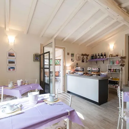 Il Lavandeto - In The Farm stay Siena