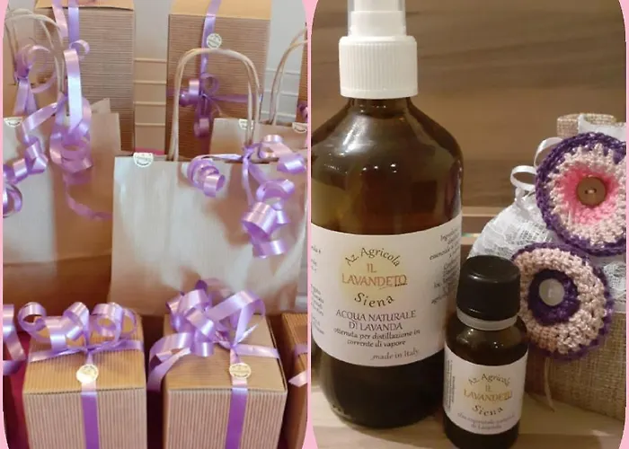 Il Lavandeto - In The