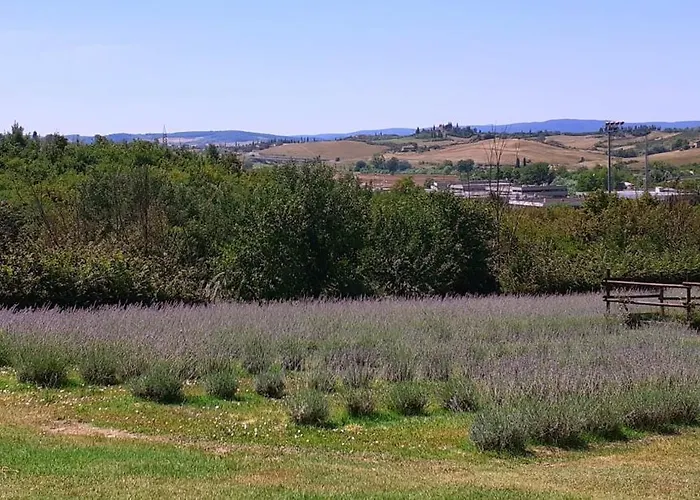 Farm stay Il Lavandeto - In The