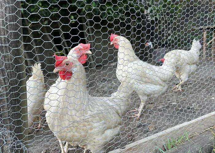 Il Lavandeto - In The * 锡耶纳