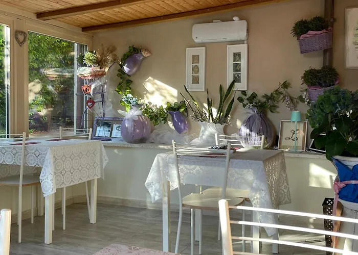 Il Lavandeto - In The Vakantieboerderij *