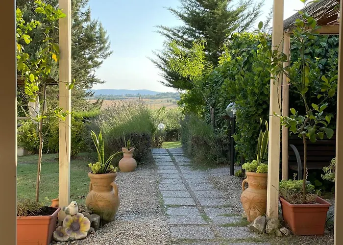 Farm stay Il Lavandeto - In The *