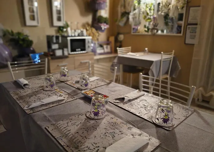 Farm stay Il Lavandeto - In The *