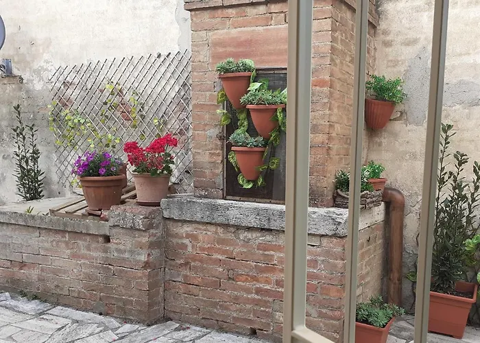 Farm stay Il Lavandeto - In The *