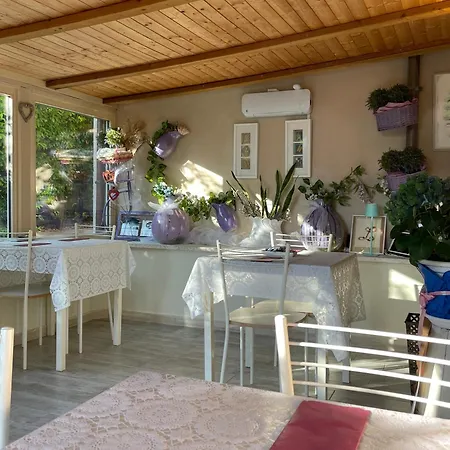 Il Lavandeto - In The Alojamento de Turismo Rural *