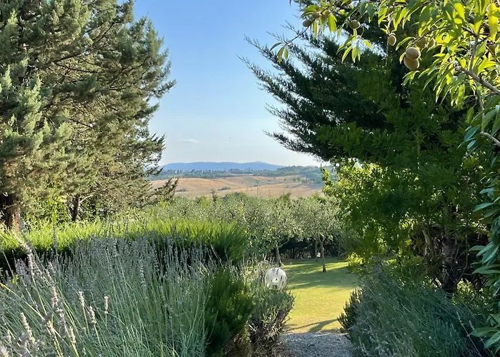 Gospodarstwo agroturystyczne Il Lavandeto - In The Siena