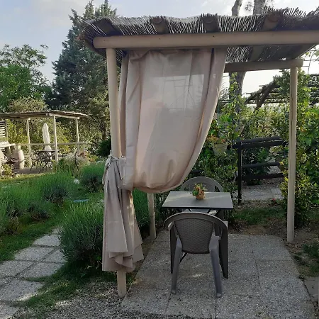 Il Lavandeto Alloggio per agriturismo Siena
